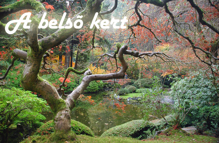 nlp belso kert