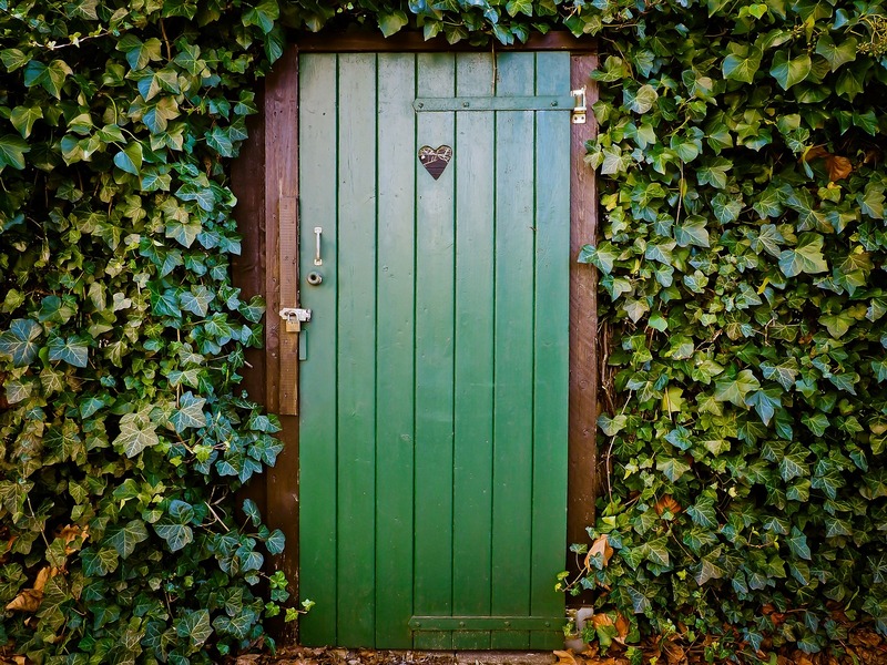 NLP, önismeret, szokások, ajtó szeptemberre, zöld ajtó szívvel