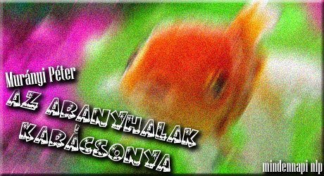 NLP módszer, önismeret, Murányi Péter, aranyhalak karácsonya NLP módszer, önismeret, Murányi Péter, aranyhalak karácsonya